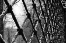 Государственное обвинение попросило суд назначить пожизненное лишение свободы жителю Республики Таджикистан за убийства четырех человек и покушение на убийство пятого в Окуловском районе