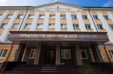 Прокуратура Новгородской области проведет «горячую линию»  по вопросам нарушения законодательства о противодействии коррупции