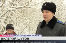 Свалка люминесцентных ламп обнаружена возле населенных пунктов в Новгородском районе 